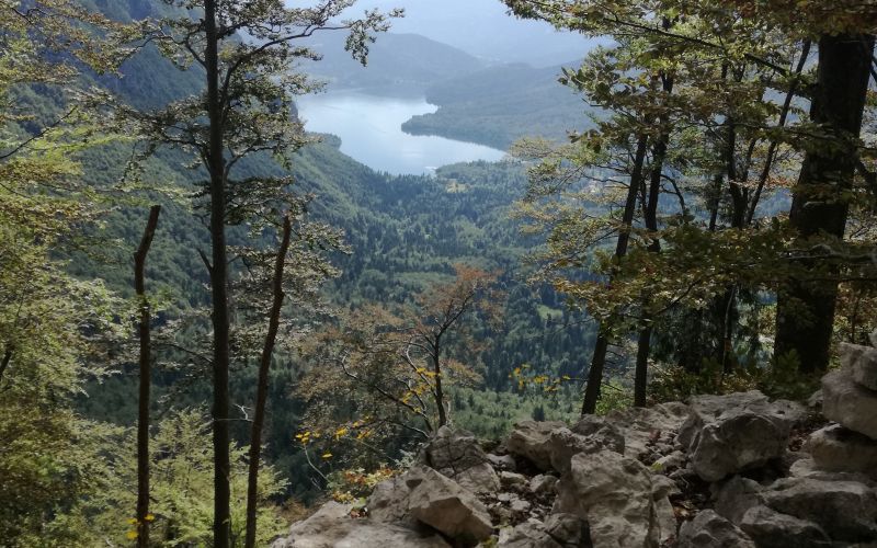 bohinjsko jezero, pogled s komne, komna, pot na komno.jpg