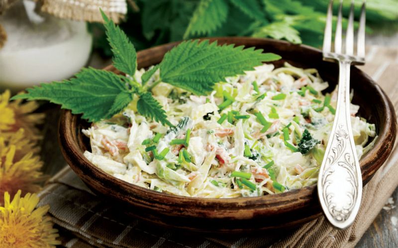 zelnja solata s koprivami.jpg