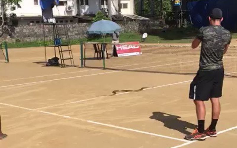 tenis sri lanka.jpg