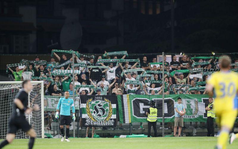 green dragons.JPG