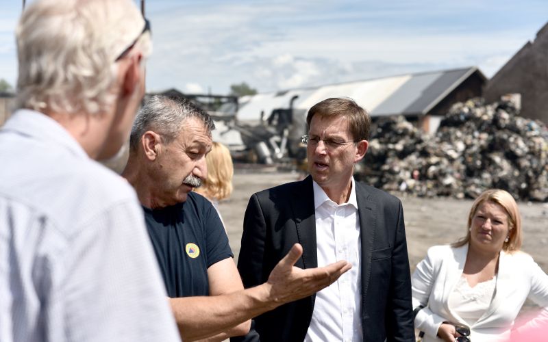 Miro cerar, Pogorišče v Zalogu pri Novem mestu