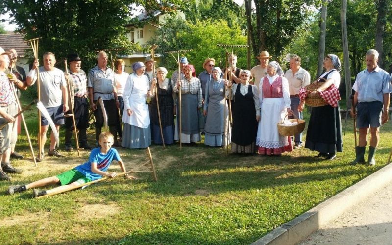 kosnja