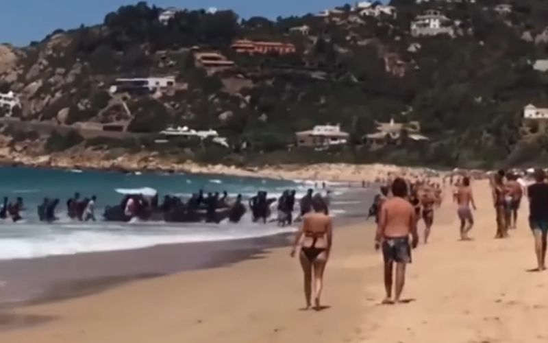 migrantispanijacoln.png