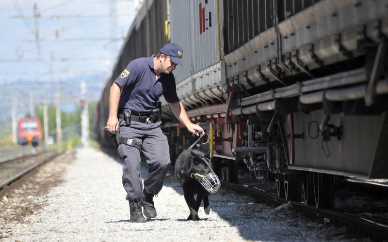 vlak, policija, policijski pes, iskanje