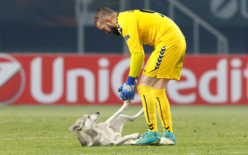 filip gacevski pes vardar.jpg