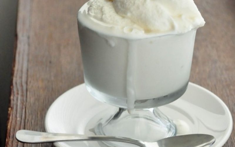 zamrznjen jogurt