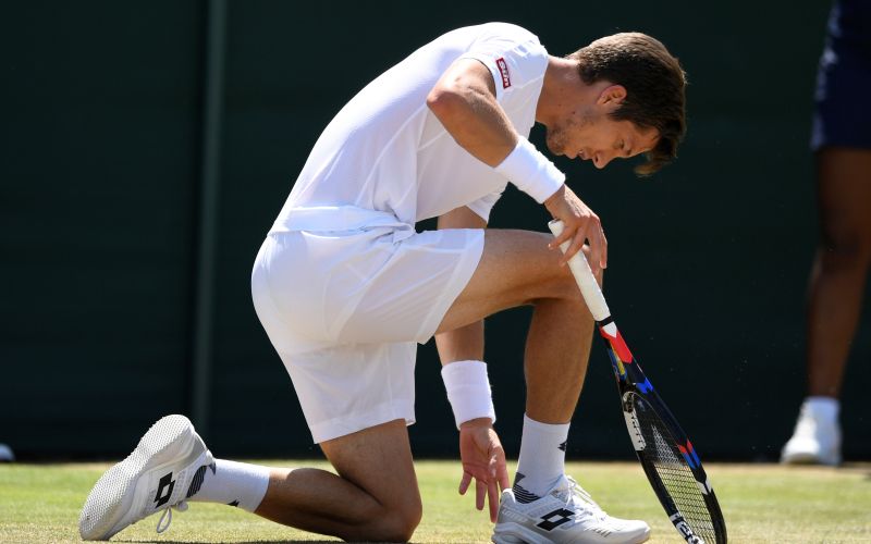 Aljaž Bedene.jpg