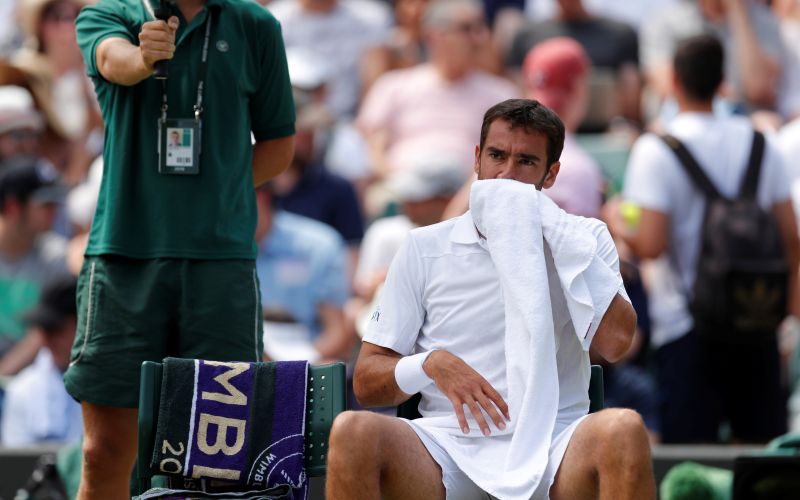 cilic re.jpg