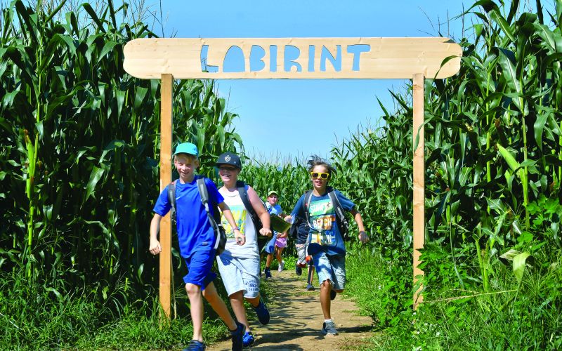 labirint1.JPG