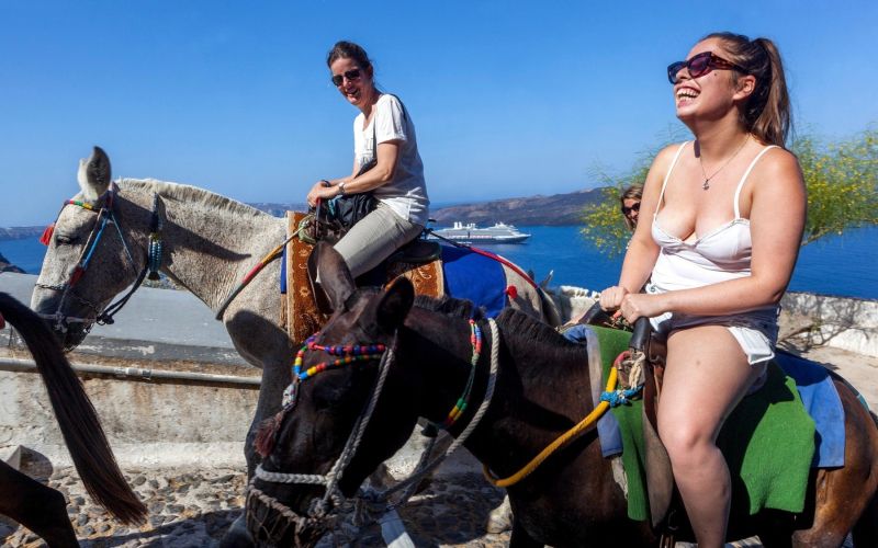 santorini, osli.jpg
