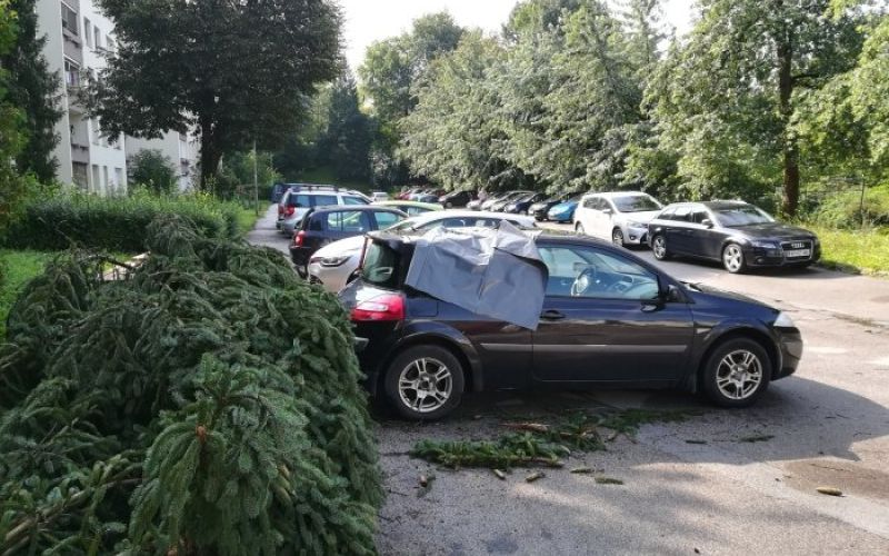 jakceva01.jpg