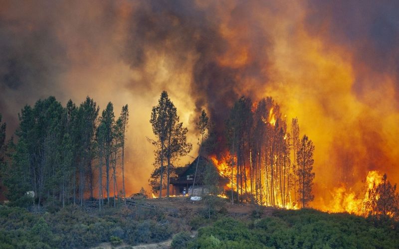 Kalifornija, Mendocino, gozdni požar avgust 2018.jpg