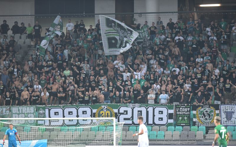 green-dragons .jpg