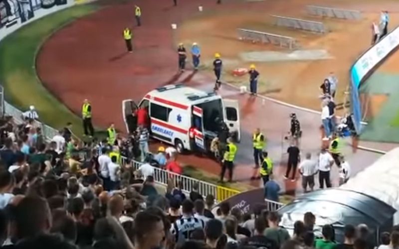 partizan navijac.jpg