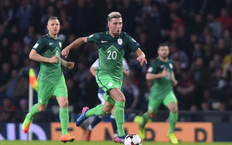 kampl.jpg