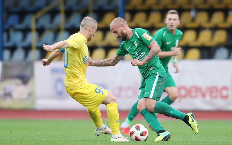 husmani brkic.JPG