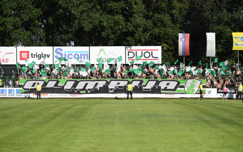green dragons ac.jpg