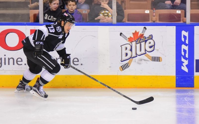 939-20-gasper kopitar.jpeg