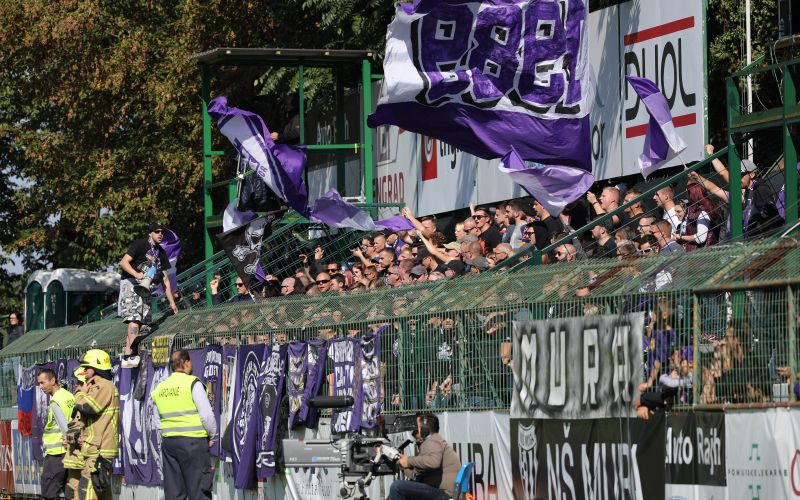 viole dw.jpg