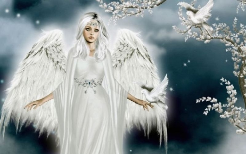 angeli.jpg