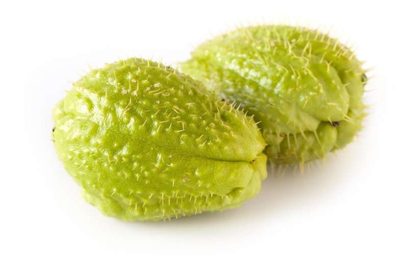 čajota.jpg