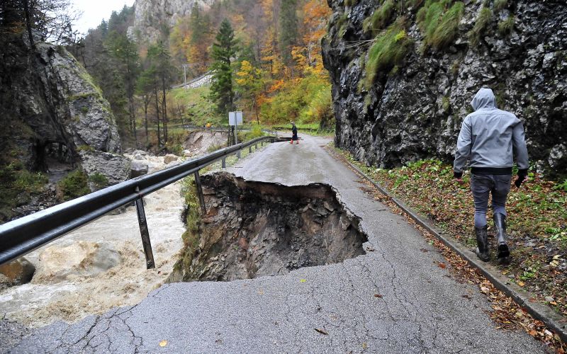 trzic cesta