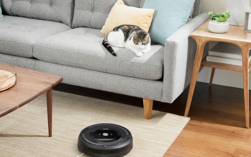 e5_Charcoal_Photo_Lifestyle_LivingRoom_Cat.jpg