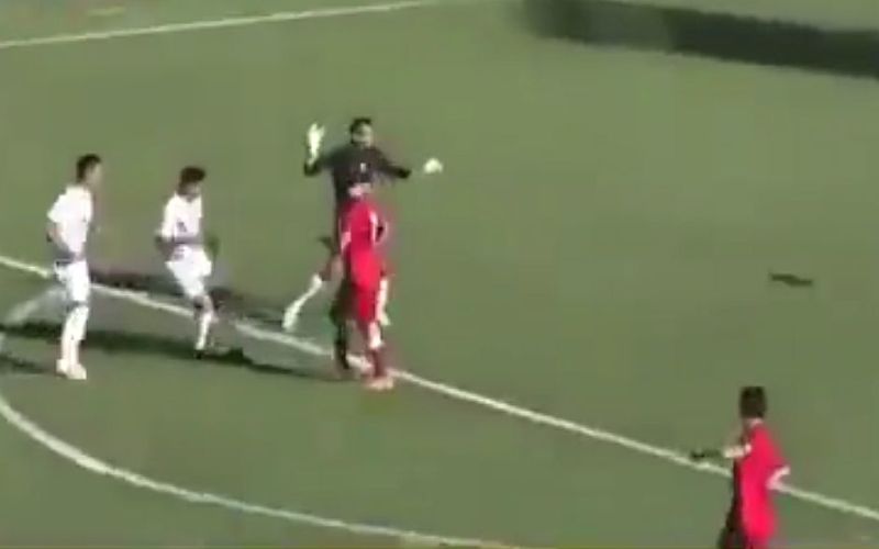 argentina vszi.jpg
