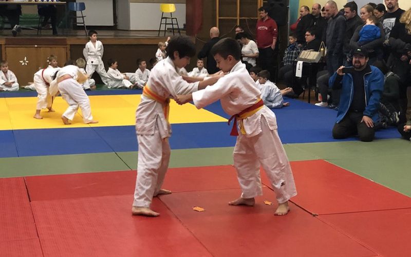 _zzzzjudo__1_.jpg
