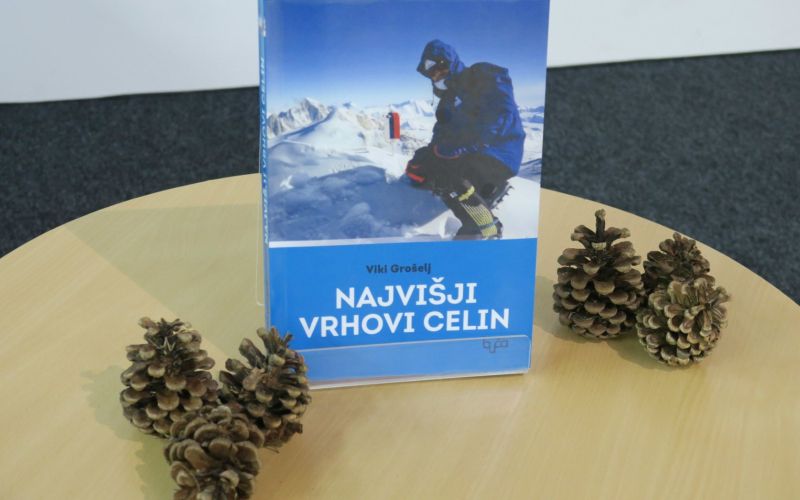 _zzzviki__01_.jpg