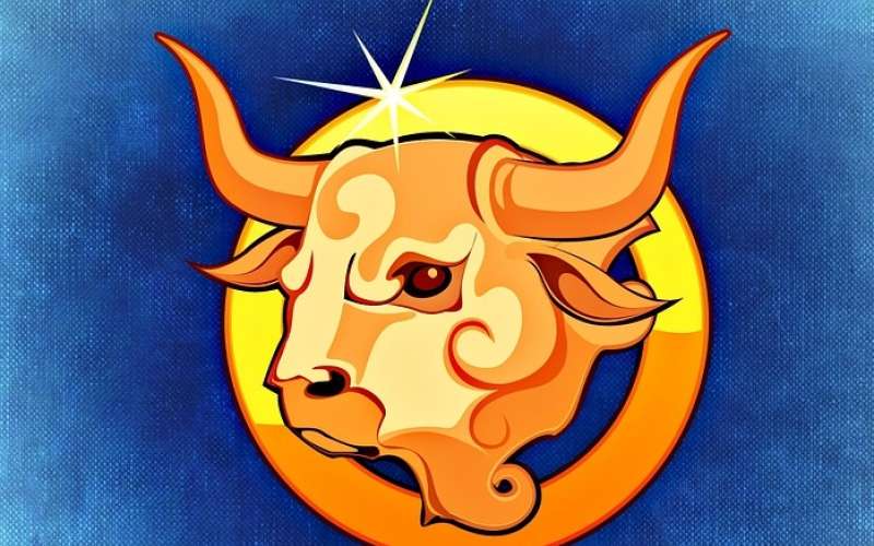 horoskop bik bull-759381_960_720.jpg