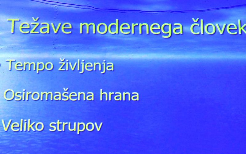 _zzzzsamo__1_.jpg