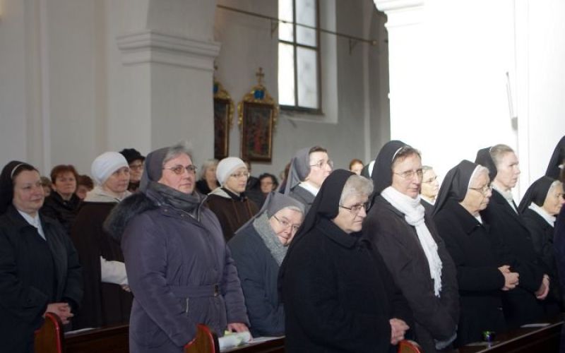 redovi_001.jpg