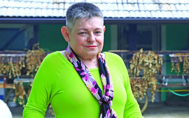 evtanazija alenka curin janzekovic.jpg