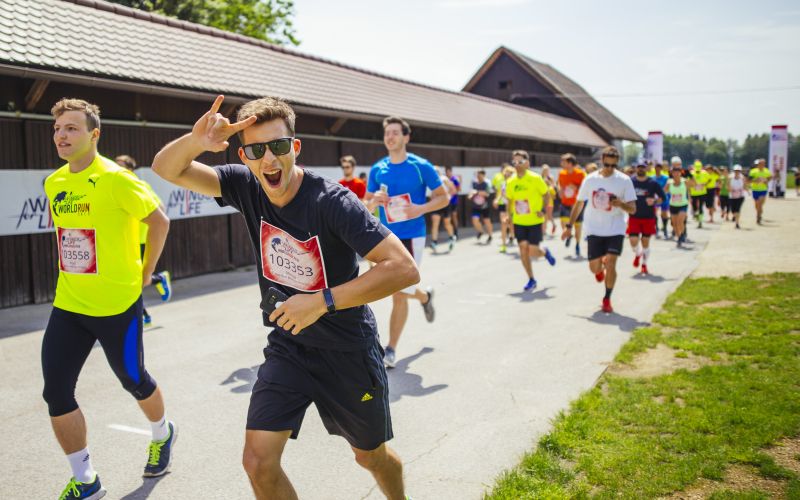 Wings for Life World Run