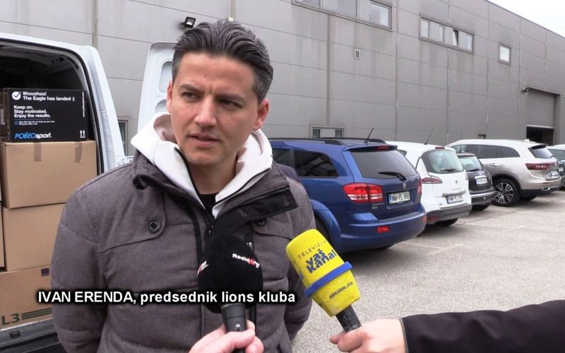 _zzzzzlions.jpg