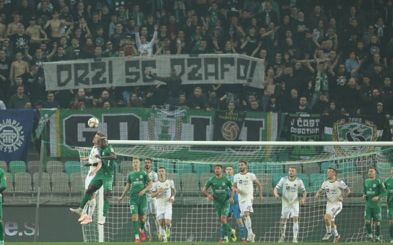 green dragons elvis dzafic.jpg