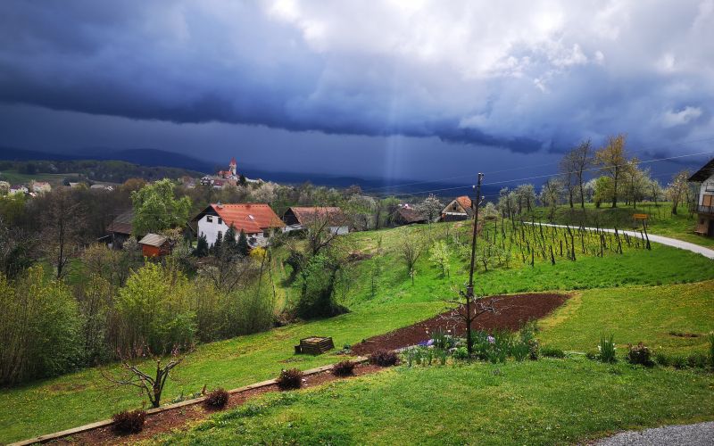 vreme__1_.jpg