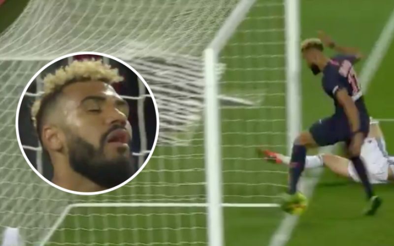 choupo-moting.png