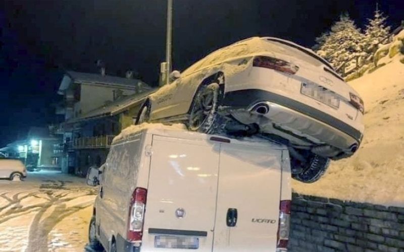 goggia4.jpg