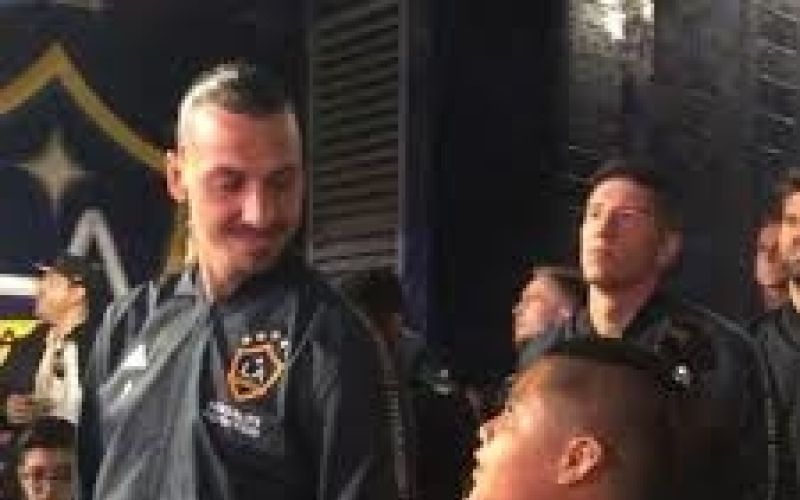 ibrahimovic.jpg