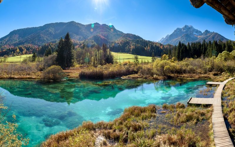 zelenci.jpg