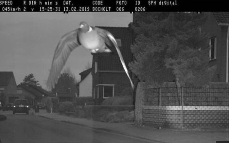 golob, radar, bocholt.jpg