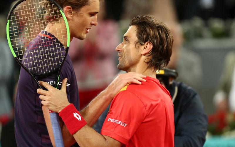 david ferrer.jpg