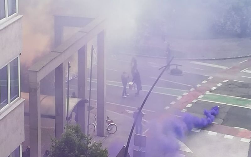 viole.jpg