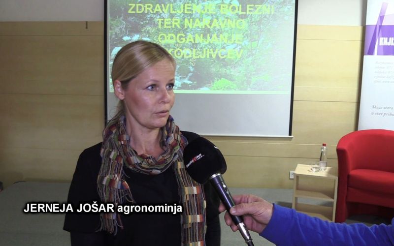 _zzzzzzzzjerneja__0_.jpg