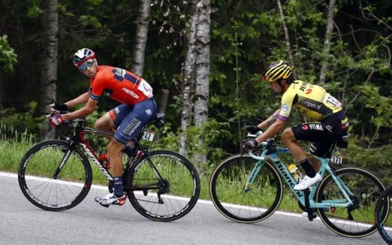 nibali roglic.jpg