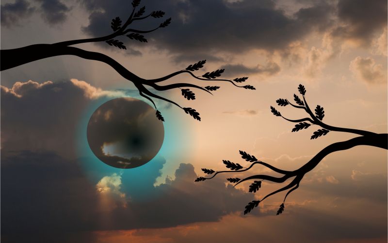 polna luna