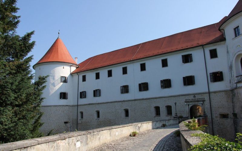 mokrice_01.jpg