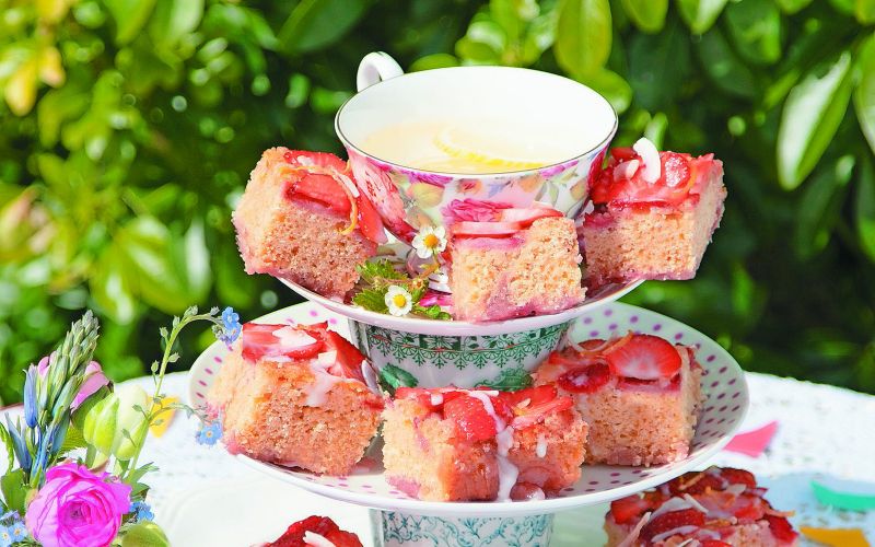 k vrtna zabava kocke z limono, kokosom, jagodami.jpg